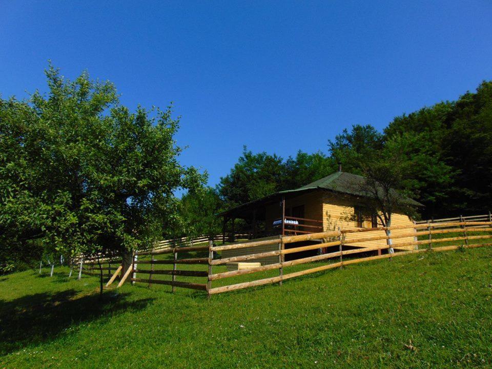 Forest Lodge On The Pyramid Високо Экстерьер фото