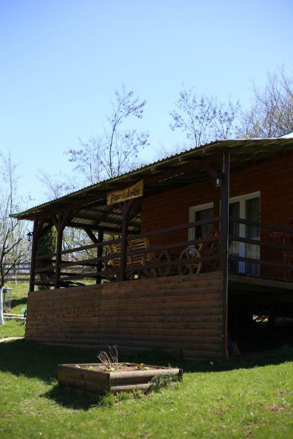 Forest Lodge On The Pyramid Високо Экстерьер фото